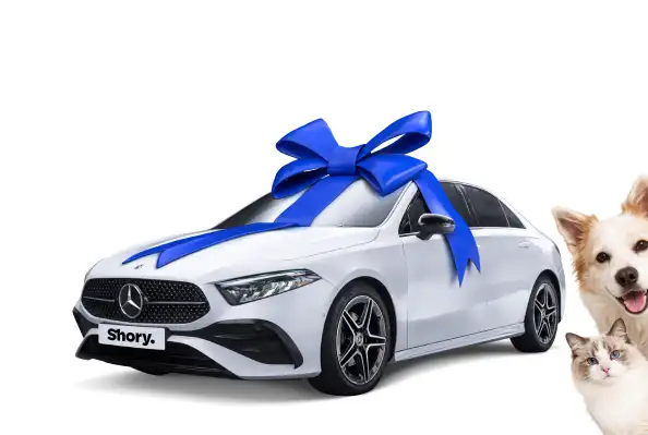 1st Place: Mercedes-Benz