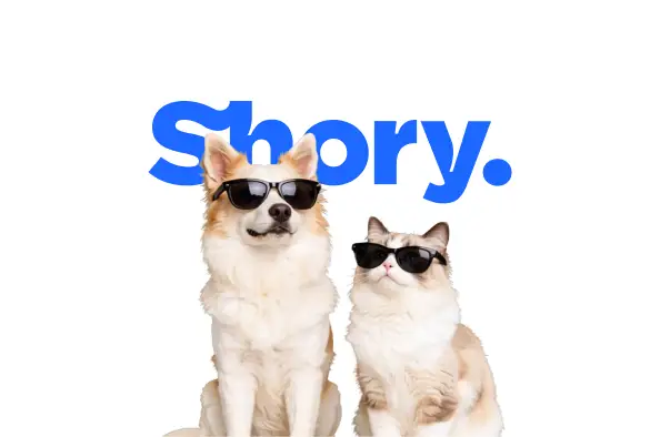 Daily Cashback Prize